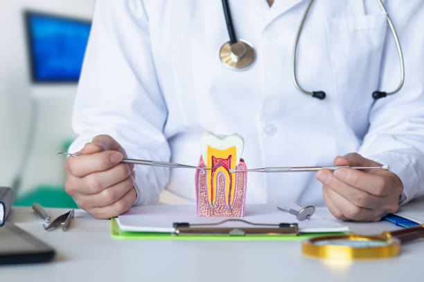 Best Emergency Wisdom Teeth Removal in Picayune, MS